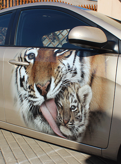 Тигрица и пантера на дверях автомобиля